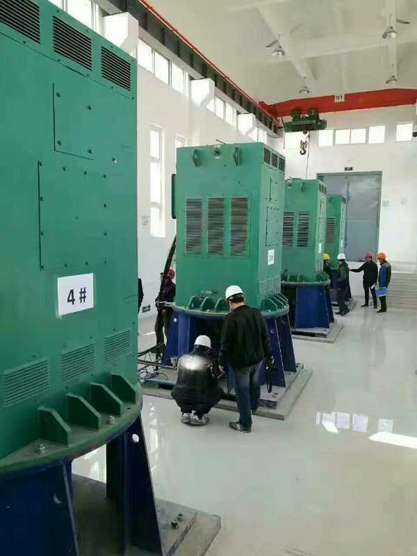 Y5005-10某污水处理厂使用我厂的立式高压电机安装现场