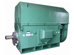 Y5005-10Y系列6KV高压电机