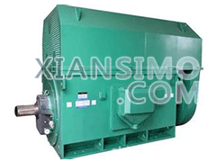 Y5005-10YXKK(2极)高效高压电机技术参数