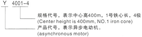 西安泰富西玛Y系列(H355-1000)高压Y5005-10三相异步电机型号说明