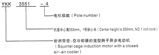 YKK系列(H355-1000)高压Y5005-10三相异步电机西安泰富西玛电机型号说明