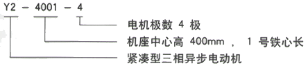 YR系列(H355-1000)高压Y5005-10三相异步电机西安西玛电机型号说明